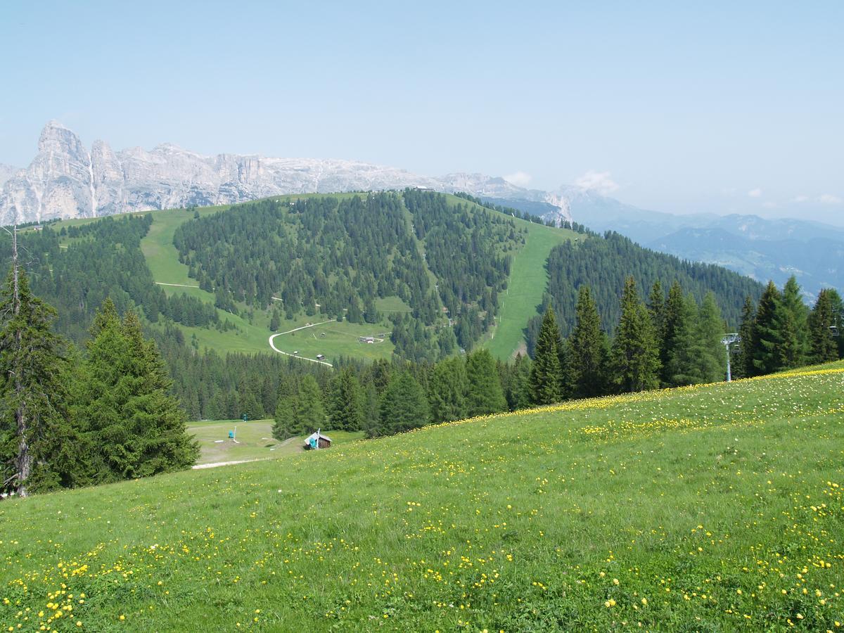 Residence Vajolet San Cassiano 外观 照片