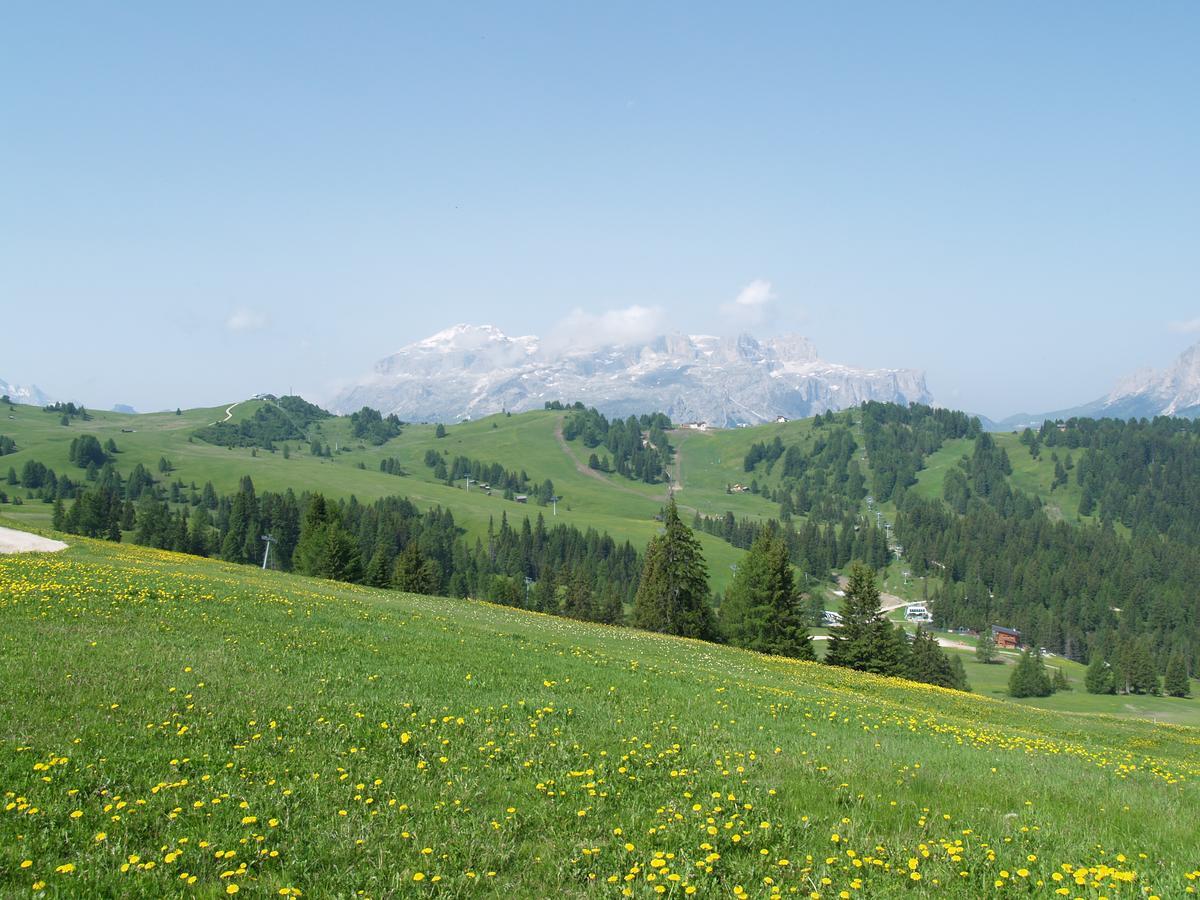 Residence Vajolet San Cassiano 外观 照片
